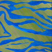 Funky_zebra_card