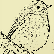 Robin_aceo_copy_card