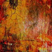 Warmth6200_card