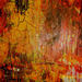 Warmth6200_square