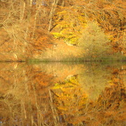 Jasmund-park_019_card