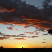 Namibia_niki_070_card