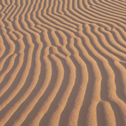 Namib_niki_2_113_card