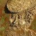 Sn30_il_vecchio_2per_sito_square