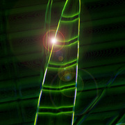 Green_flow_sml_card