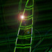 Green_flow_sml_square