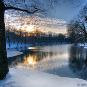 Pond02_800x533a_card