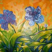 S7300155_card