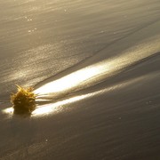Strand_021_card