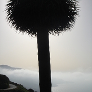 Lapalma_019_card