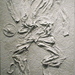 Self_portrait_36x72-2_square