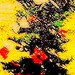 Kulorz_1_square