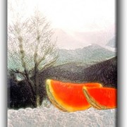 390_0_428796_48320_card