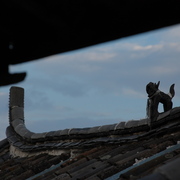 Dsc_0541_card