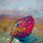 Art_2006-07_007_card