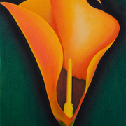 Lily5_card