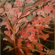 Cherry_blossom_final_4_card