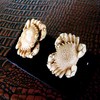 Gd-27_crabs_mammoth_trusk_thumb