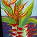 Heliconia_square