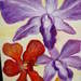 Orchid_square