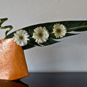Ikebana-100_card