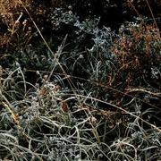 Eq_wintersonne_fotografie2008_03_card