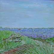Breezy_day_and_old_driftwood_card