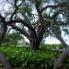 034_thumb