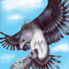 Black_hawk_catch_thumb