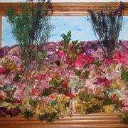 Img_6417_card