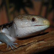 Dsc_0161_card