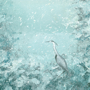 Fen_winter_card