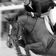 Competition_jumping_09_card