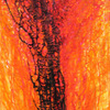 029_120x60_thumb