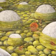 Shallow_water111_card