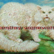 Cat_danetot__cat_is_not_that_