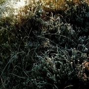 Eq_wintersonne_fotografie2008_06_card
