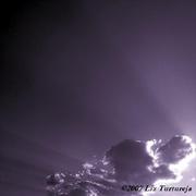 Purple_skies_card
