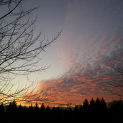 Orange_sunset_2_card
