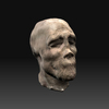 Cabeza_en_descomposicion_03_thumb