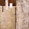 Argaria_red_thumb