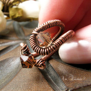 Bruno_ring_card