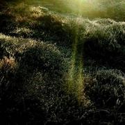 Eq_wintersonne_fotografie2008_07_card