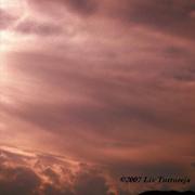 Red_skies_card