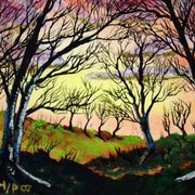 090___vibrant_treescape___card