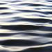 Water_square
