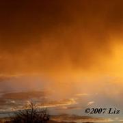Golden_skies_card