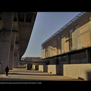 Manwalkingnewt01lowweb_card