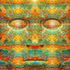 Spirit_guidestightcropped_thumb