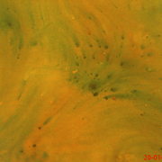 Dsc01222_card